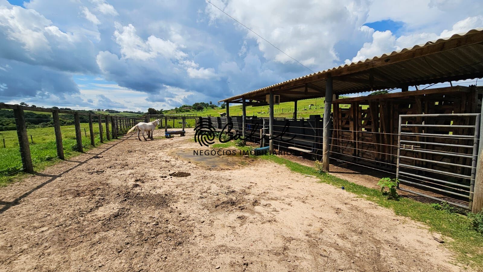 Fazenda à venda com 2 quartos, 1831500m² - Foto 4