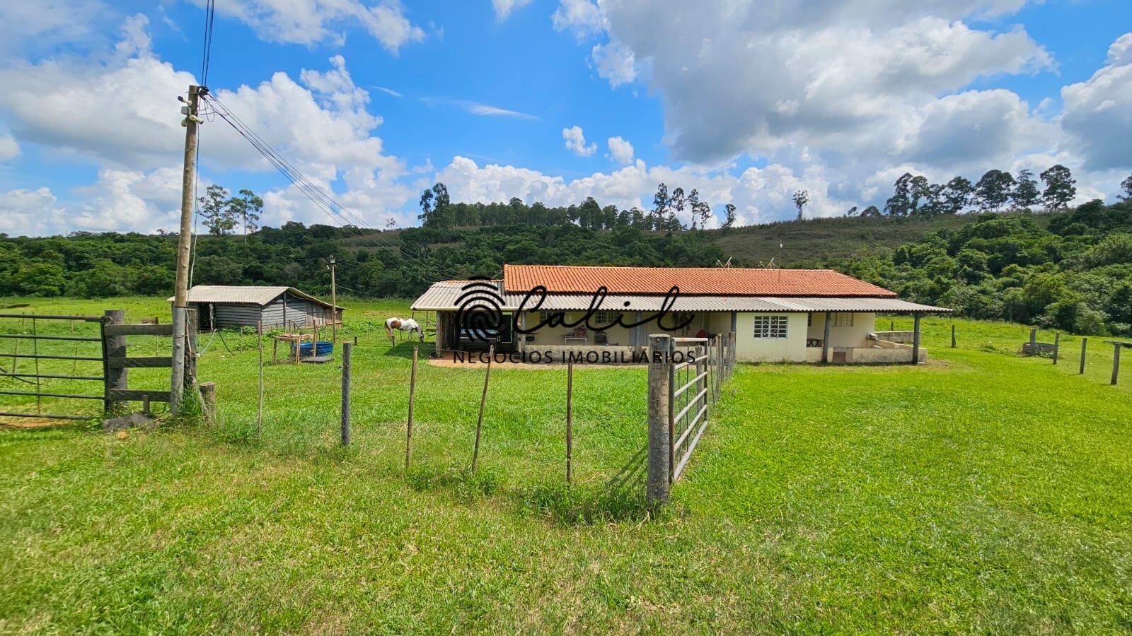 Fazenda à venda com 2 quartos, 1831500m² - Foto 3