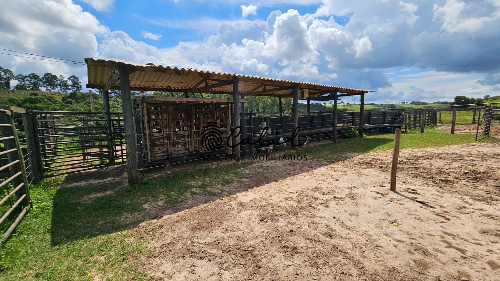 Fazenda à venda com 2 quartos, 1831500m² - Foto 5