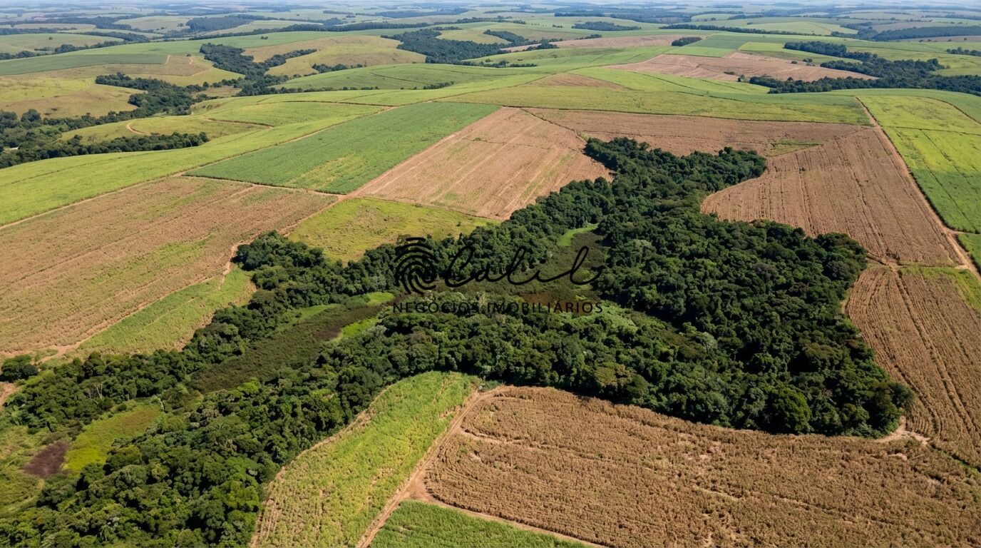 Fazenda, 133 m² - Foto 3