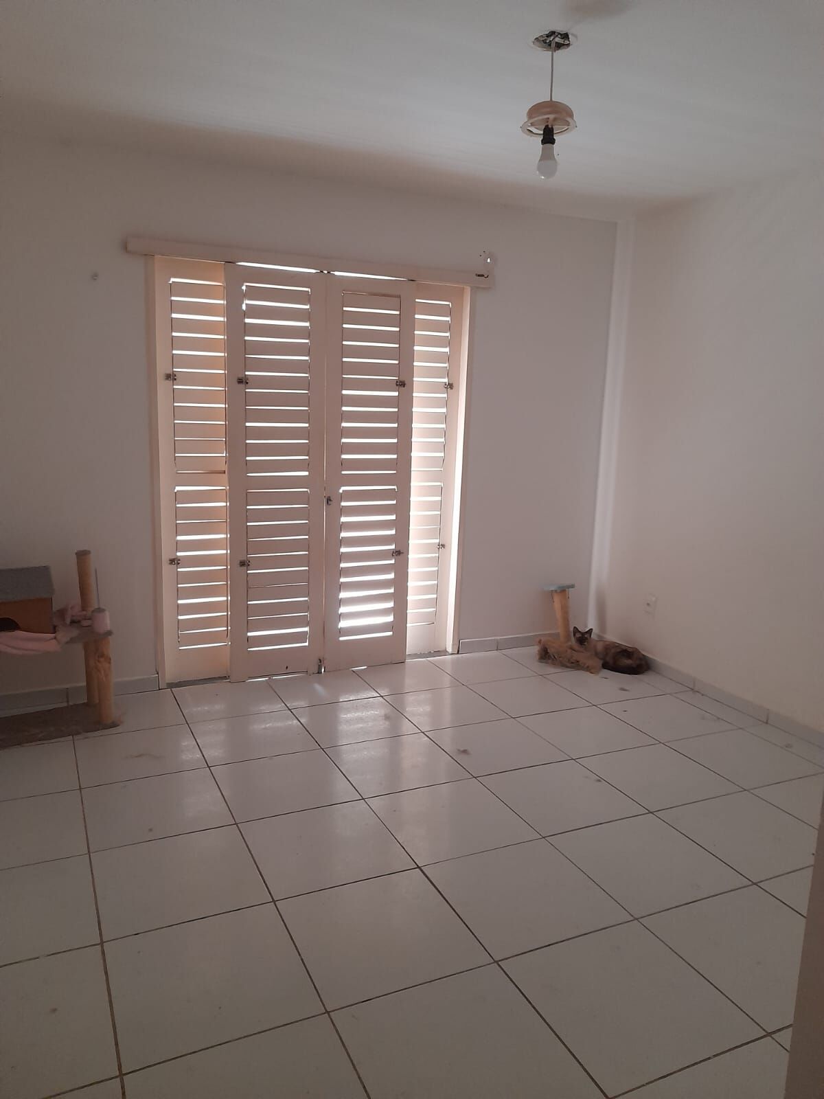 Apartamento, 2 quartos - Foto 6
