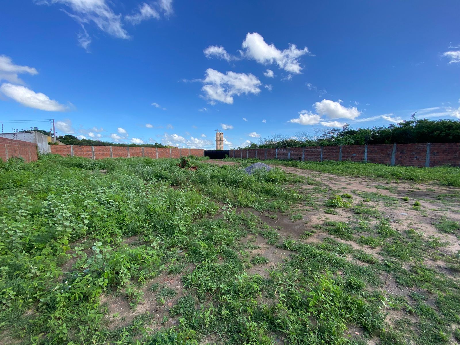 Loja-Salão, 450 m² - Foto 4