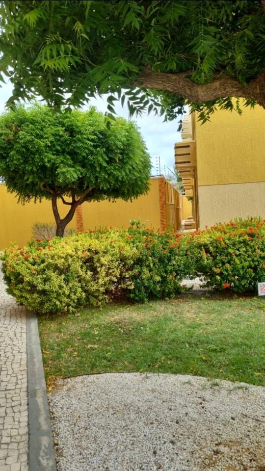 Apartamento, 2 quartos - Foto 13