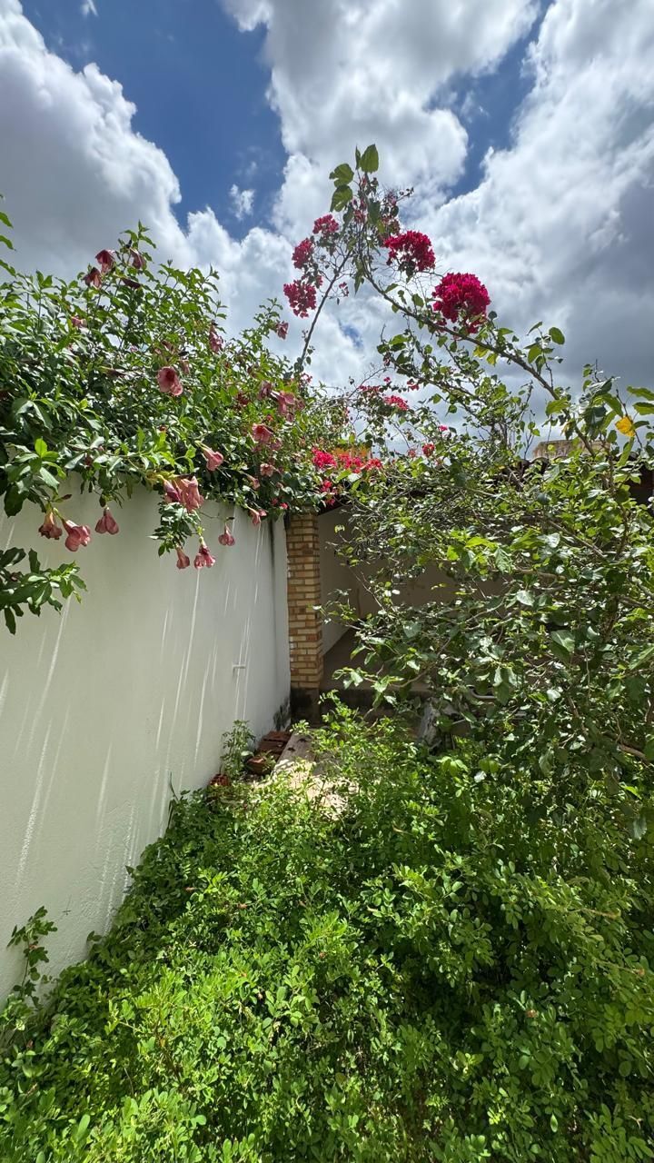 Casa, 3 quartos, 4502 m² - Foto 13