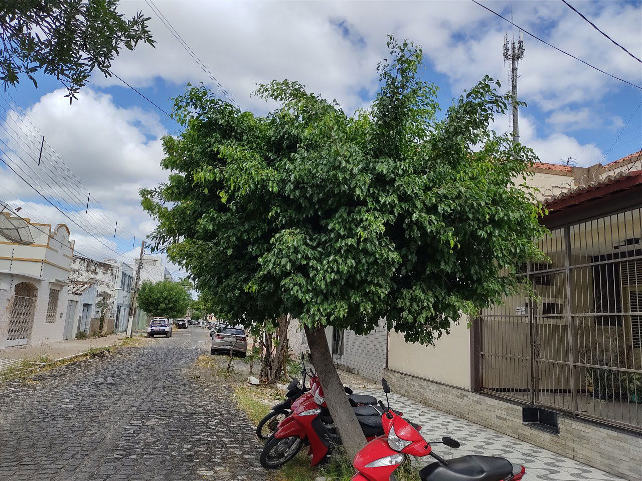 Casa, 3 quartos, 150 m² - Foto 4