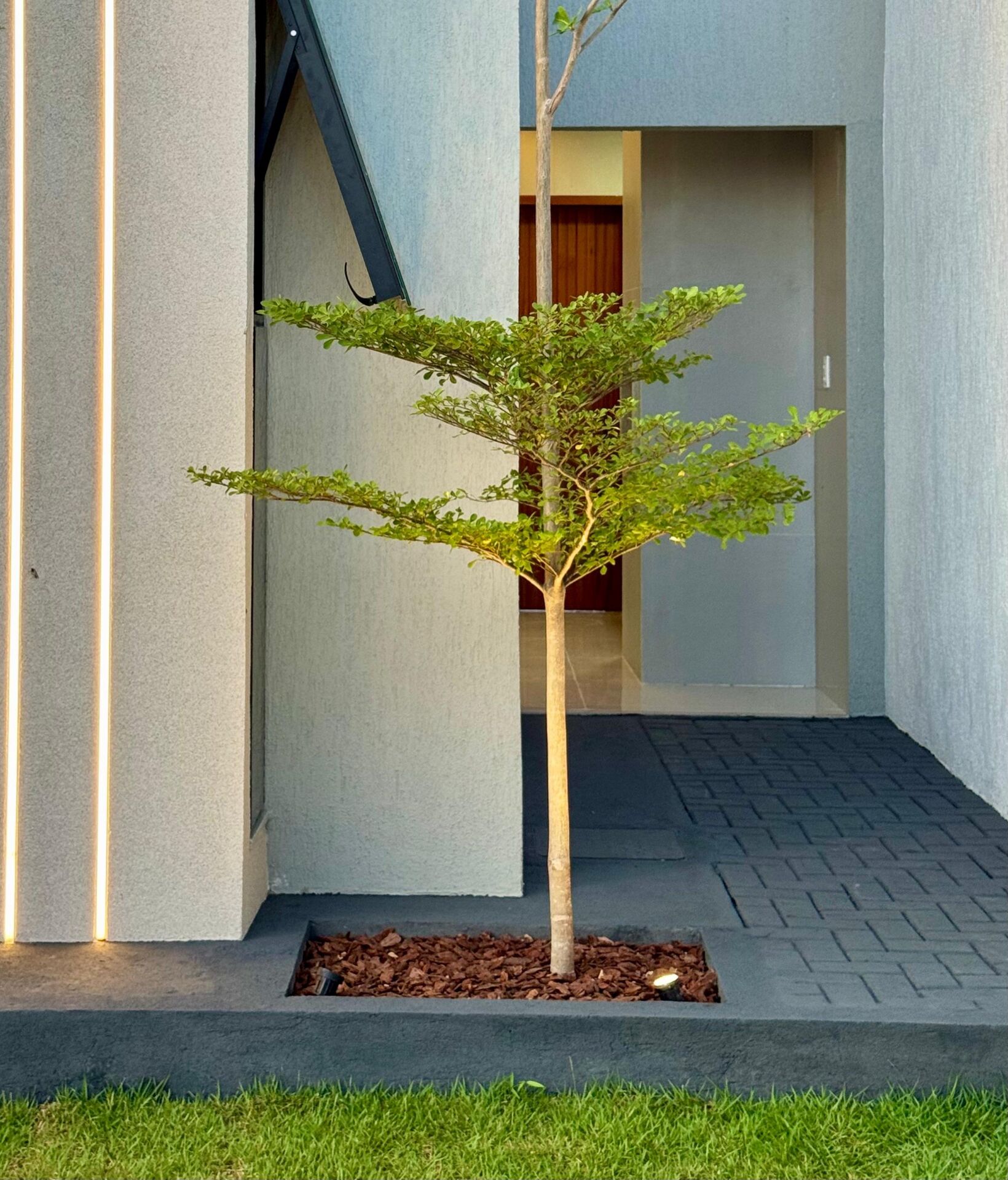 Casa, 3 quartos, 122 m² - Foto 14