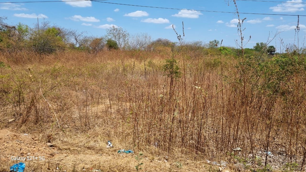 Terreno, 3 m² - Foto 5