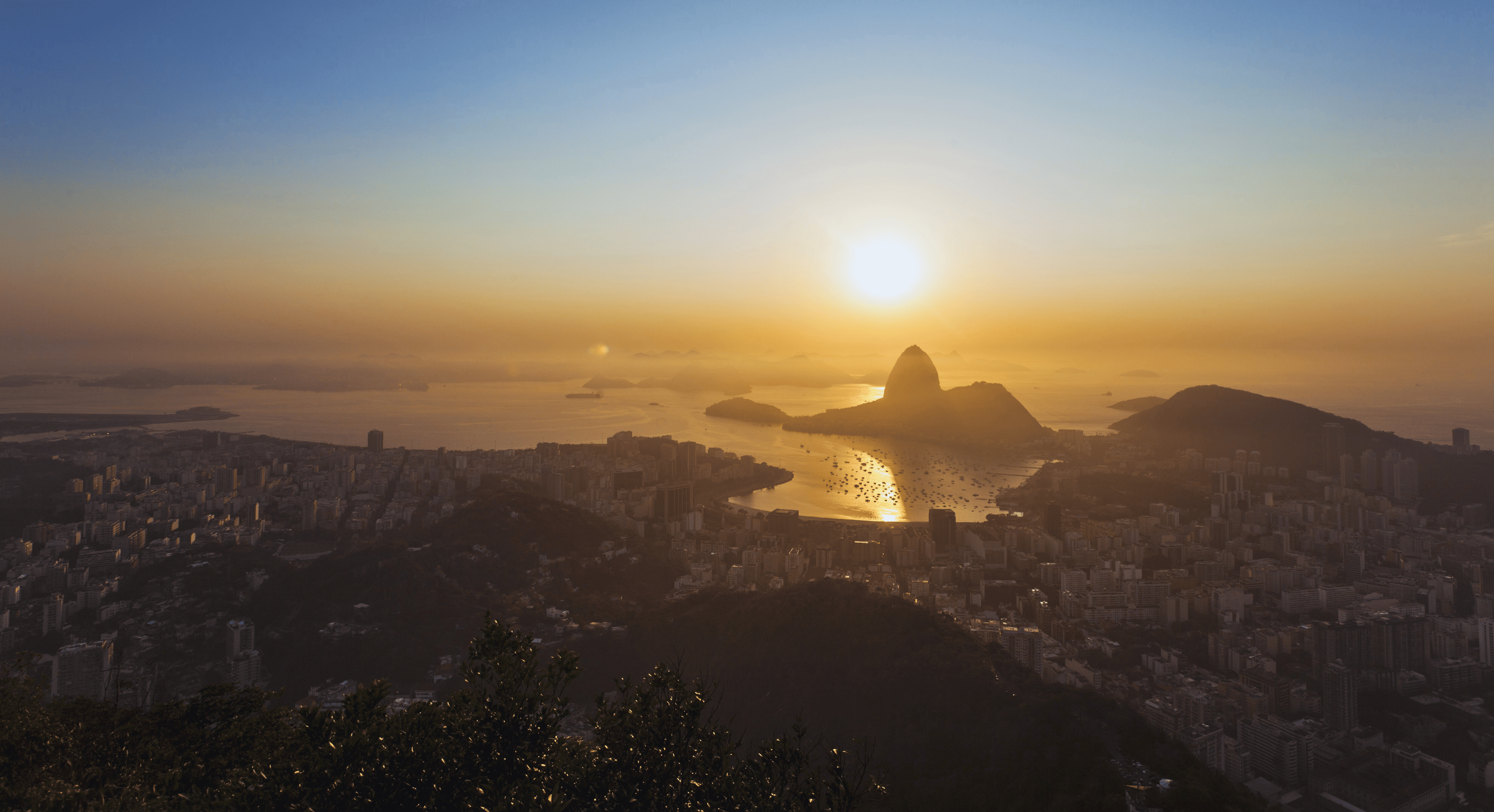 Aline Miethe Corretora