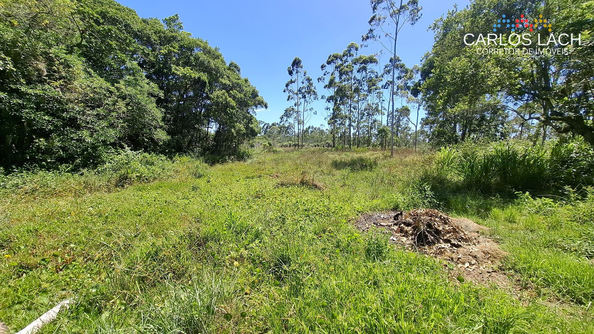 Chácara, 2 quartos, 15 hectares - Foto 10