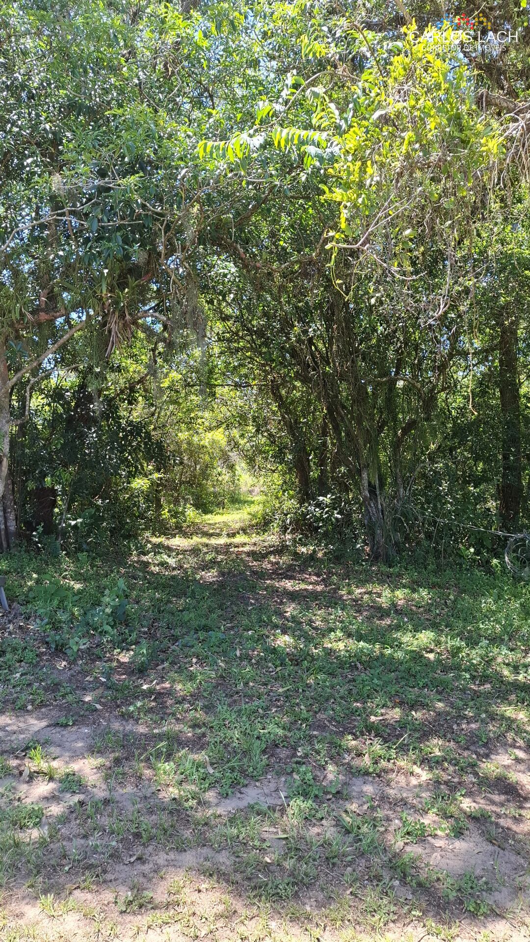 Chácara, 2 quartos, 15 hectares - Foto 8