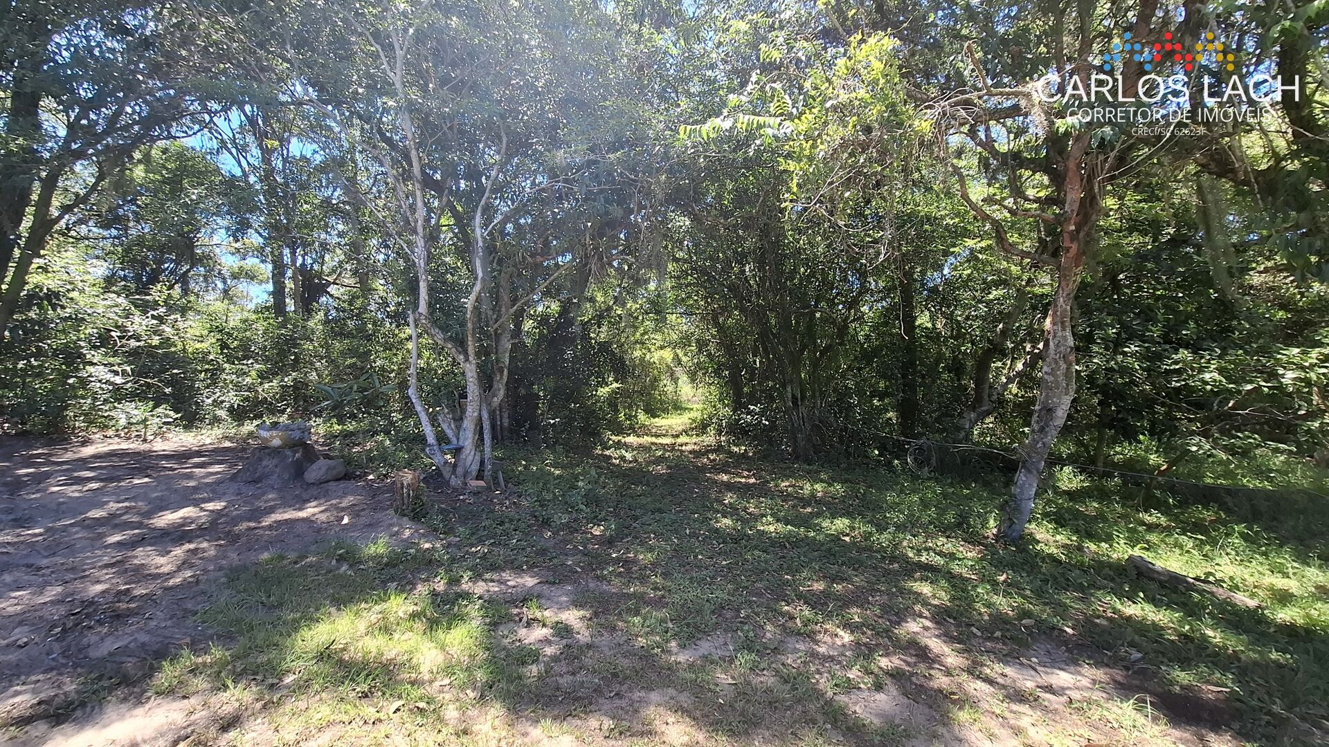 Chácara, 2 quartos, 15 hectares - Foto 7