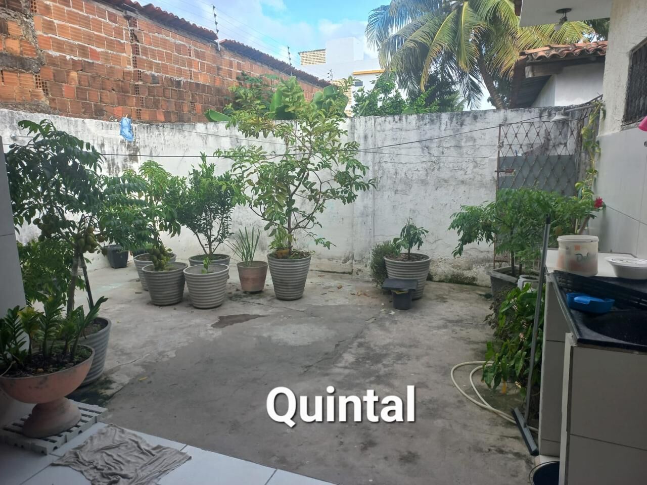 Casa à venda com 3 quartos, 219m² - Foto 3