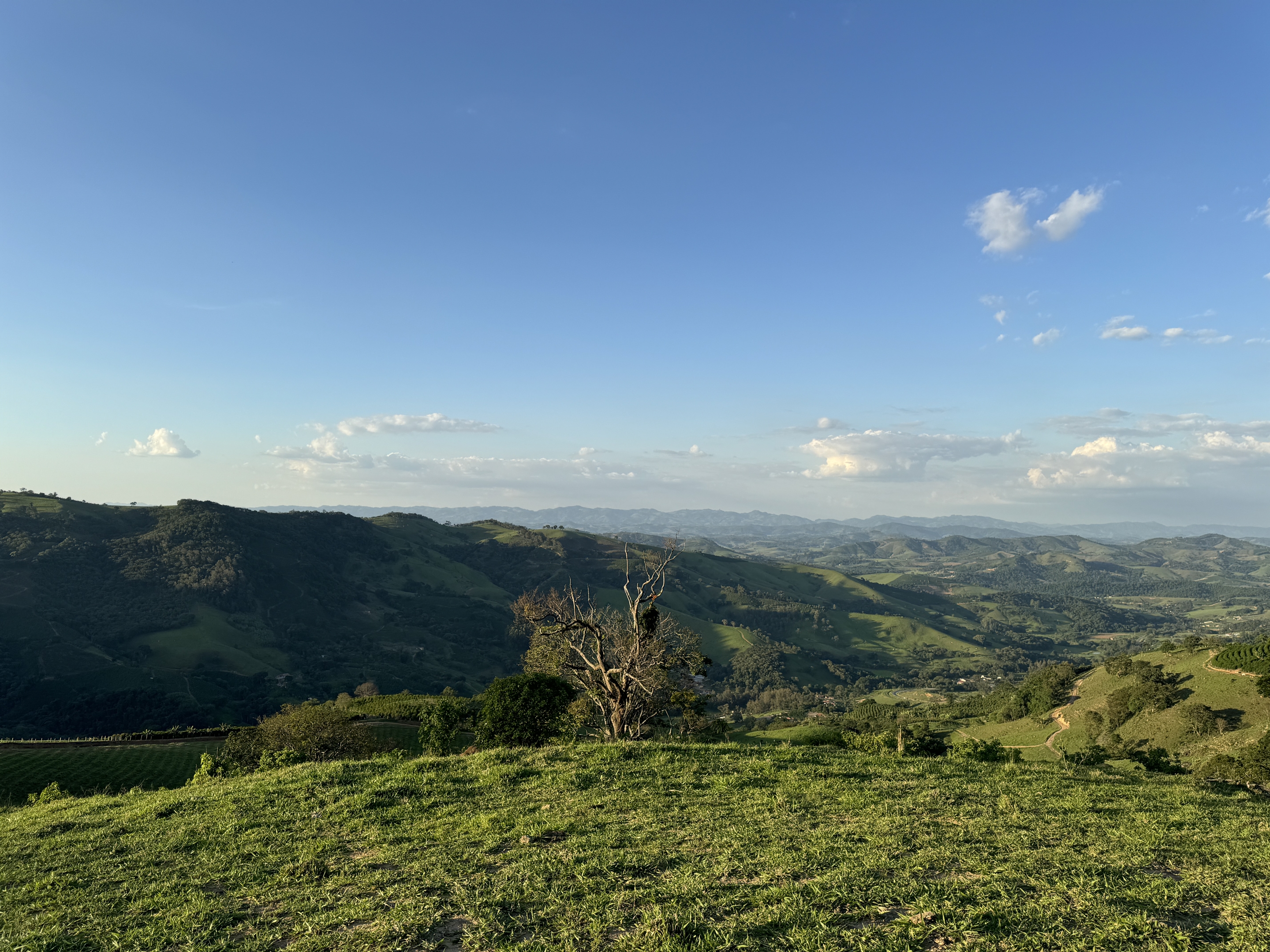 Imobiliária Barão