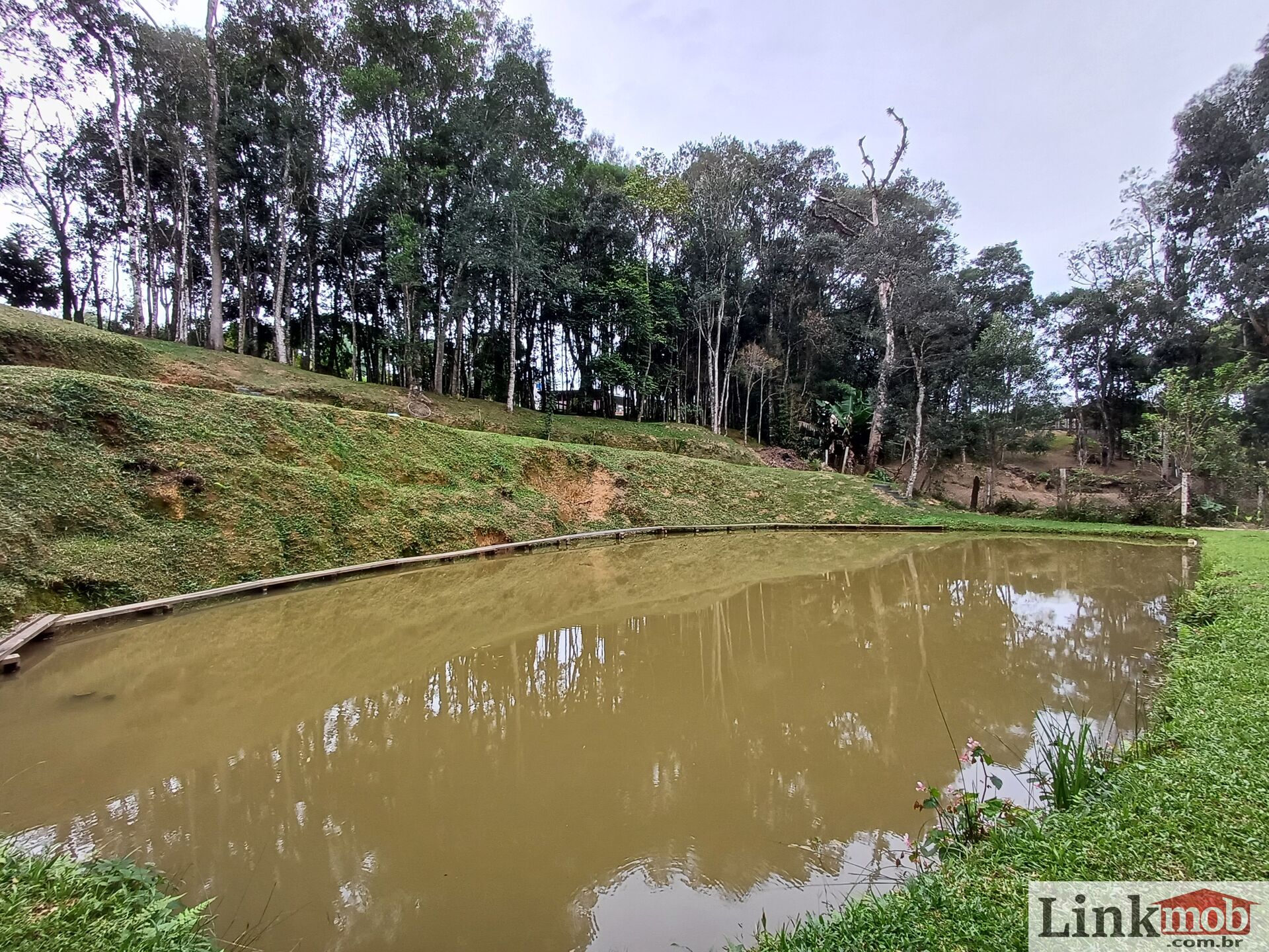 Fazenda à venda com 3 quartos, 3500m² - Foto 71