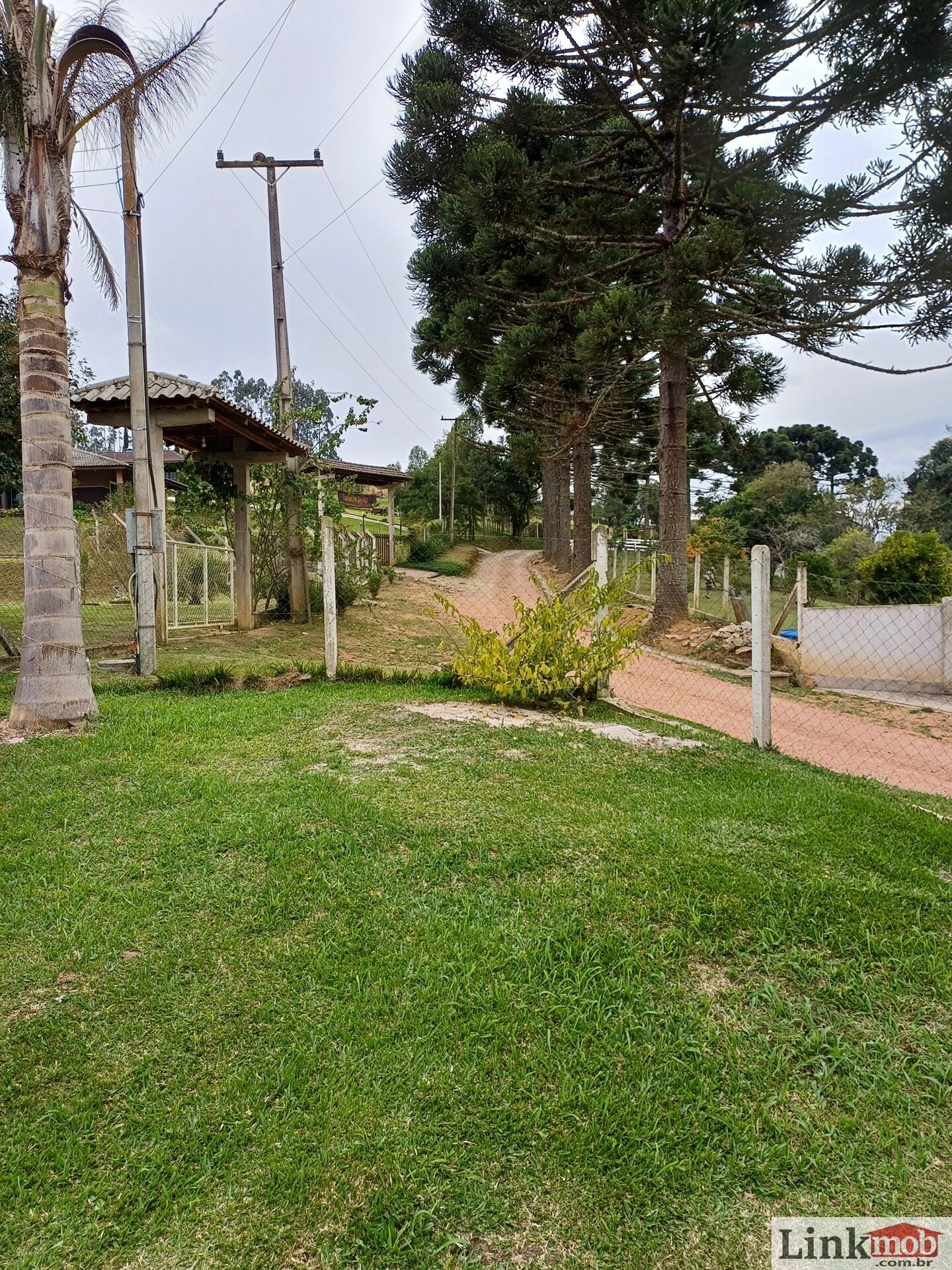 Fazenda à venda com 3 quartos, 3500m² - Foto 57