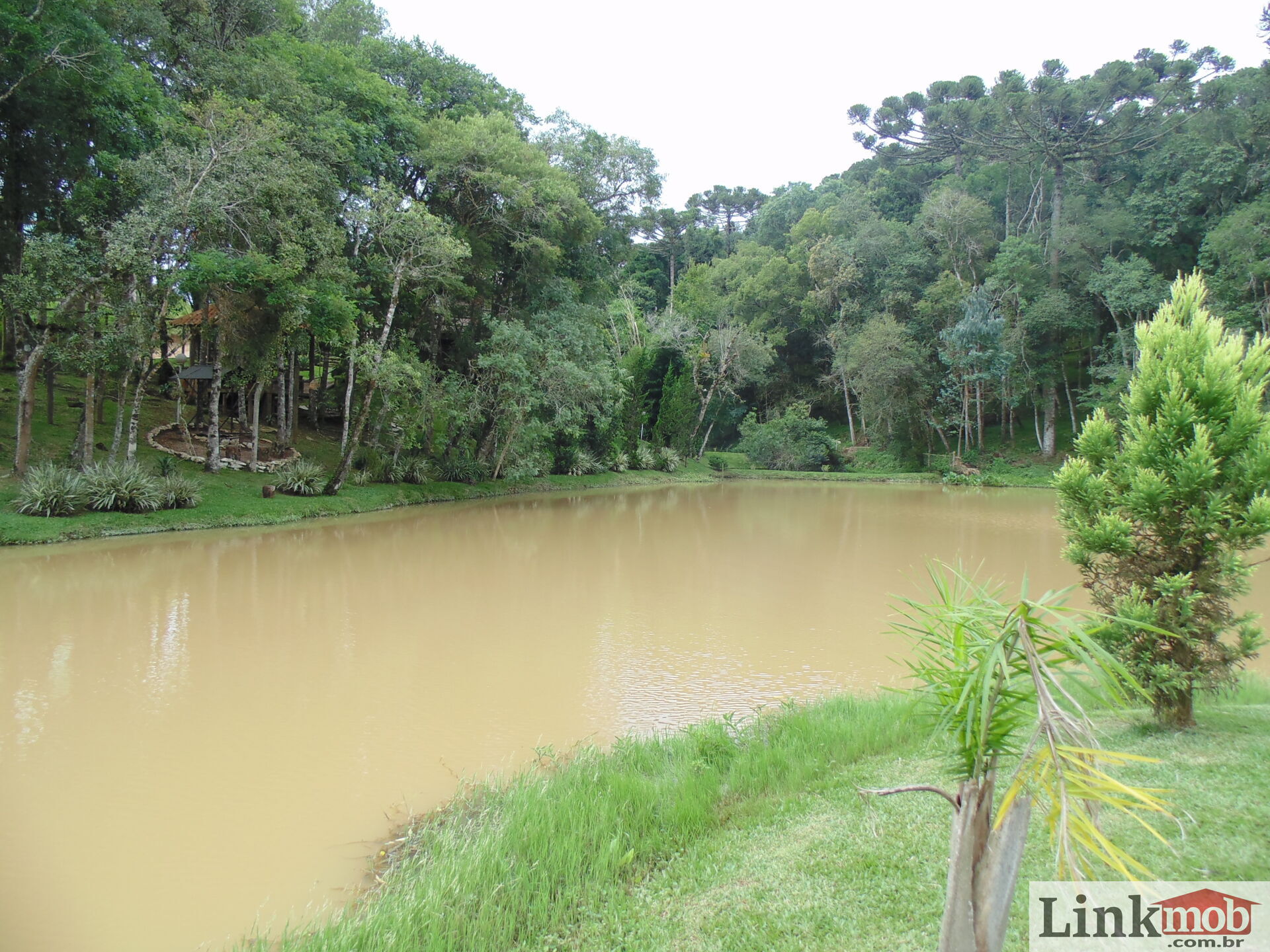 Fazenda à venda com 3 quartos, 3500m² - Foto 53