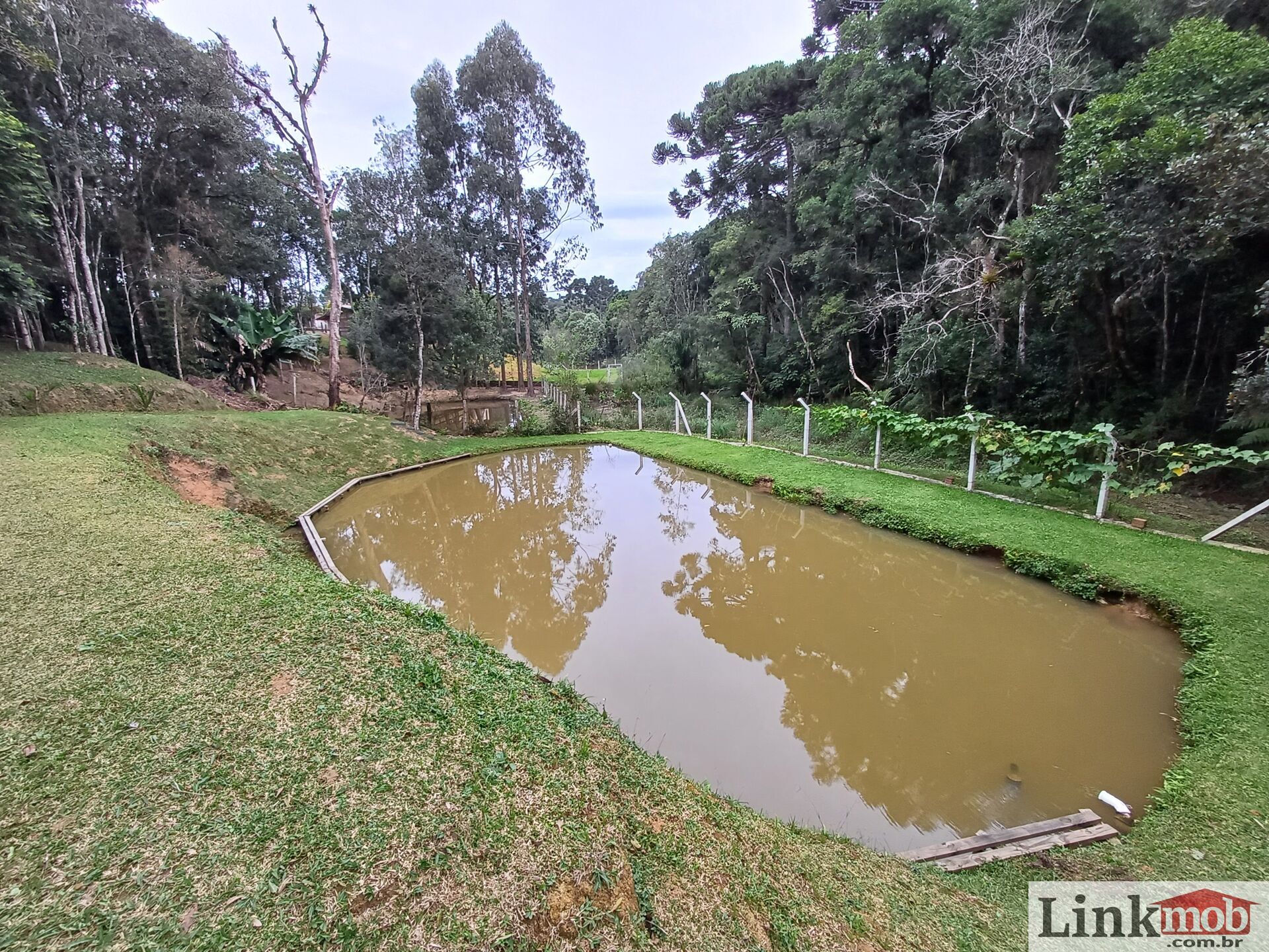 Fazenda à venda com 3 quartos, 3500m² - Foto 69