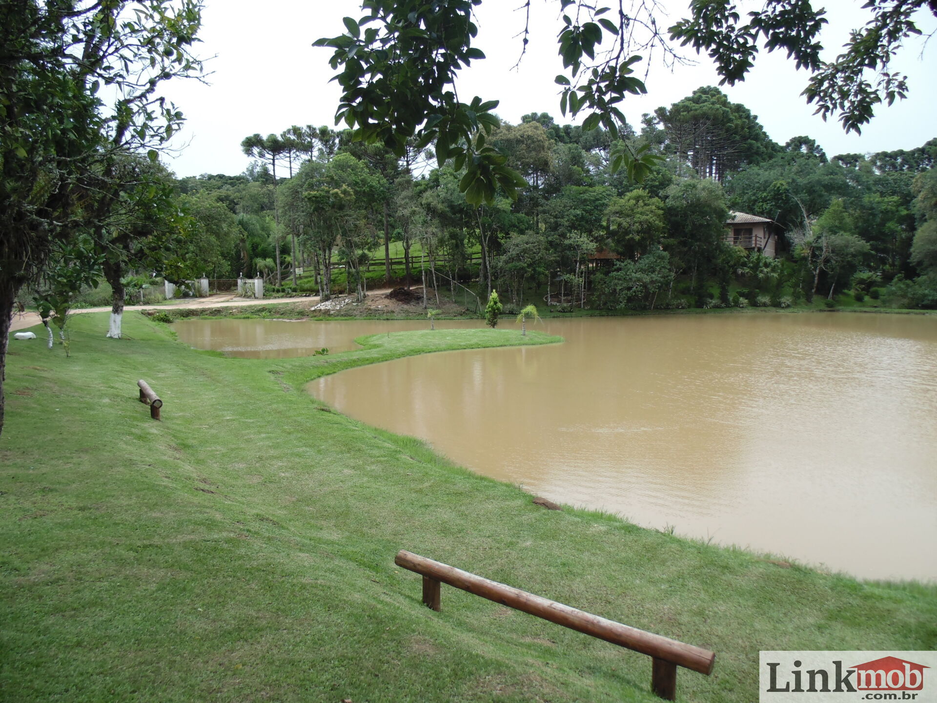 Fazenda à venda com 3 quartos, 3500m² - Foto 49