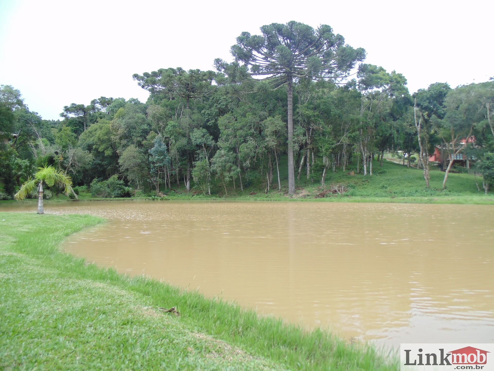 Fazenda à venda com 3 quartos, 3500m² - Foto 51