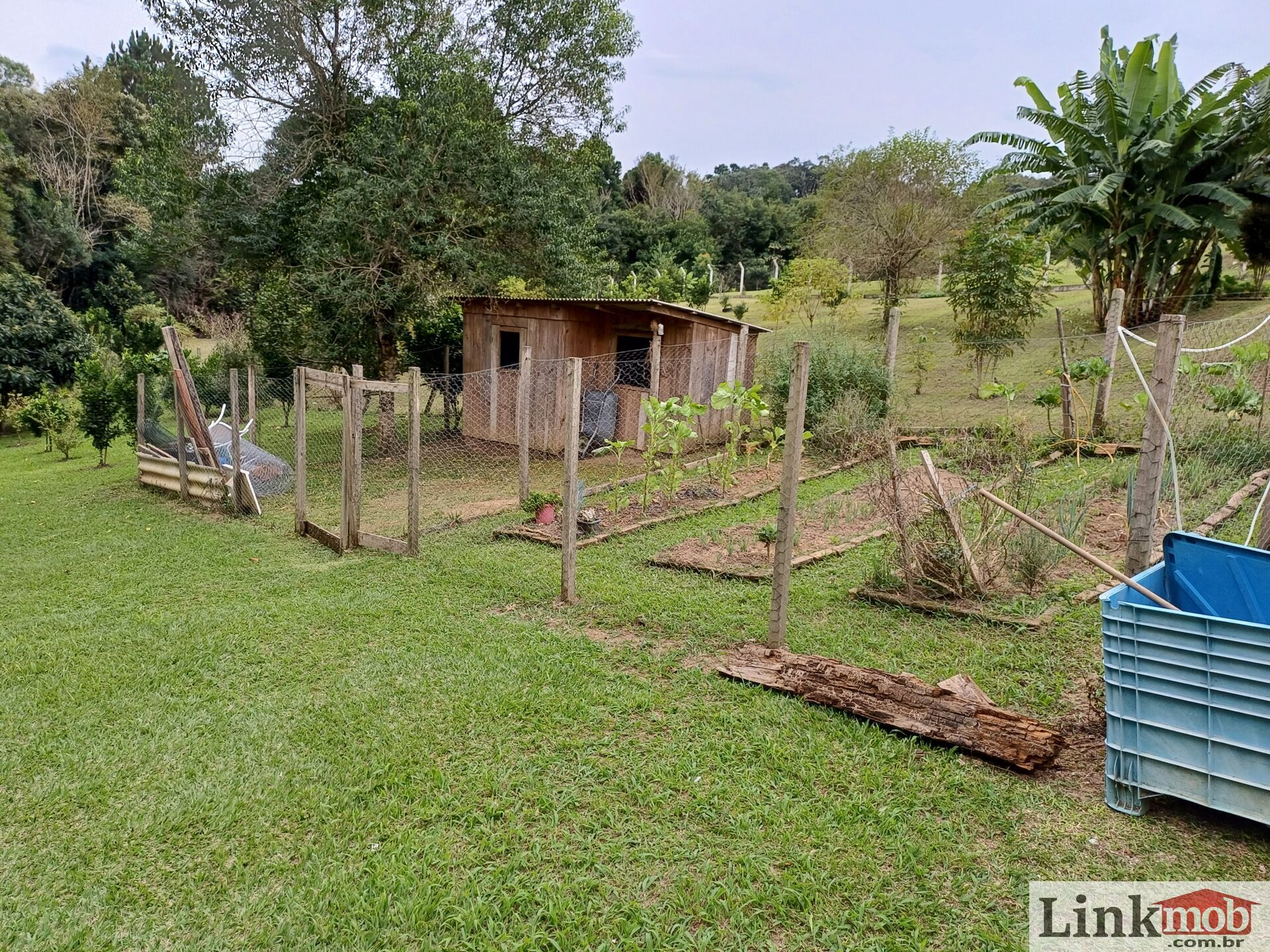 Fazenda à venda com 3 quartos, 3500m² - Foto 59