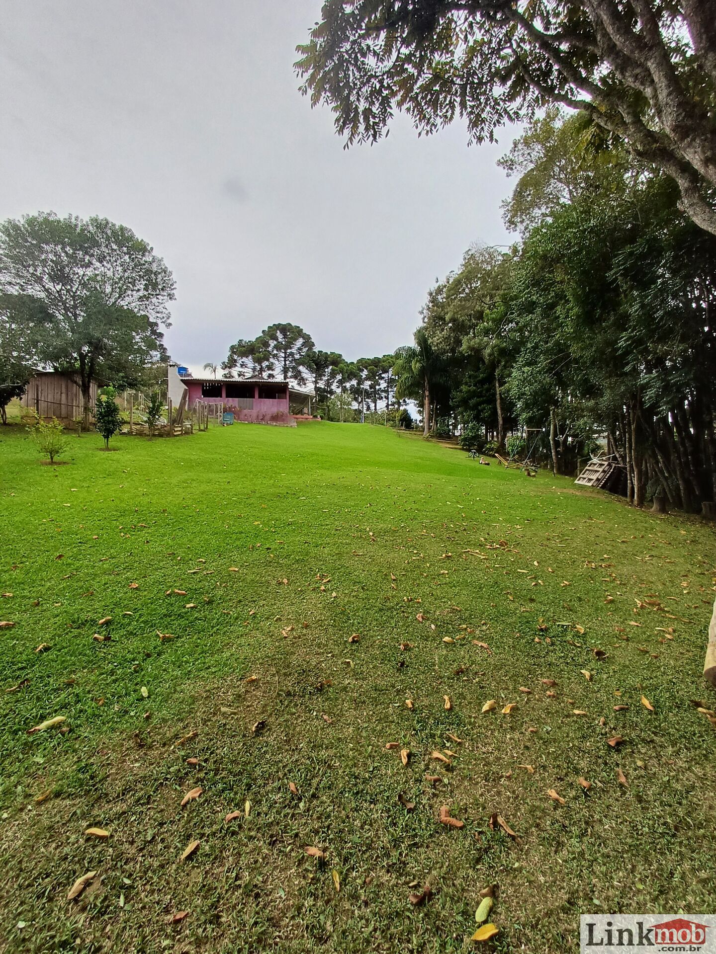 Fazenda à venda com 3 quartos, 3500m² - Foto 67