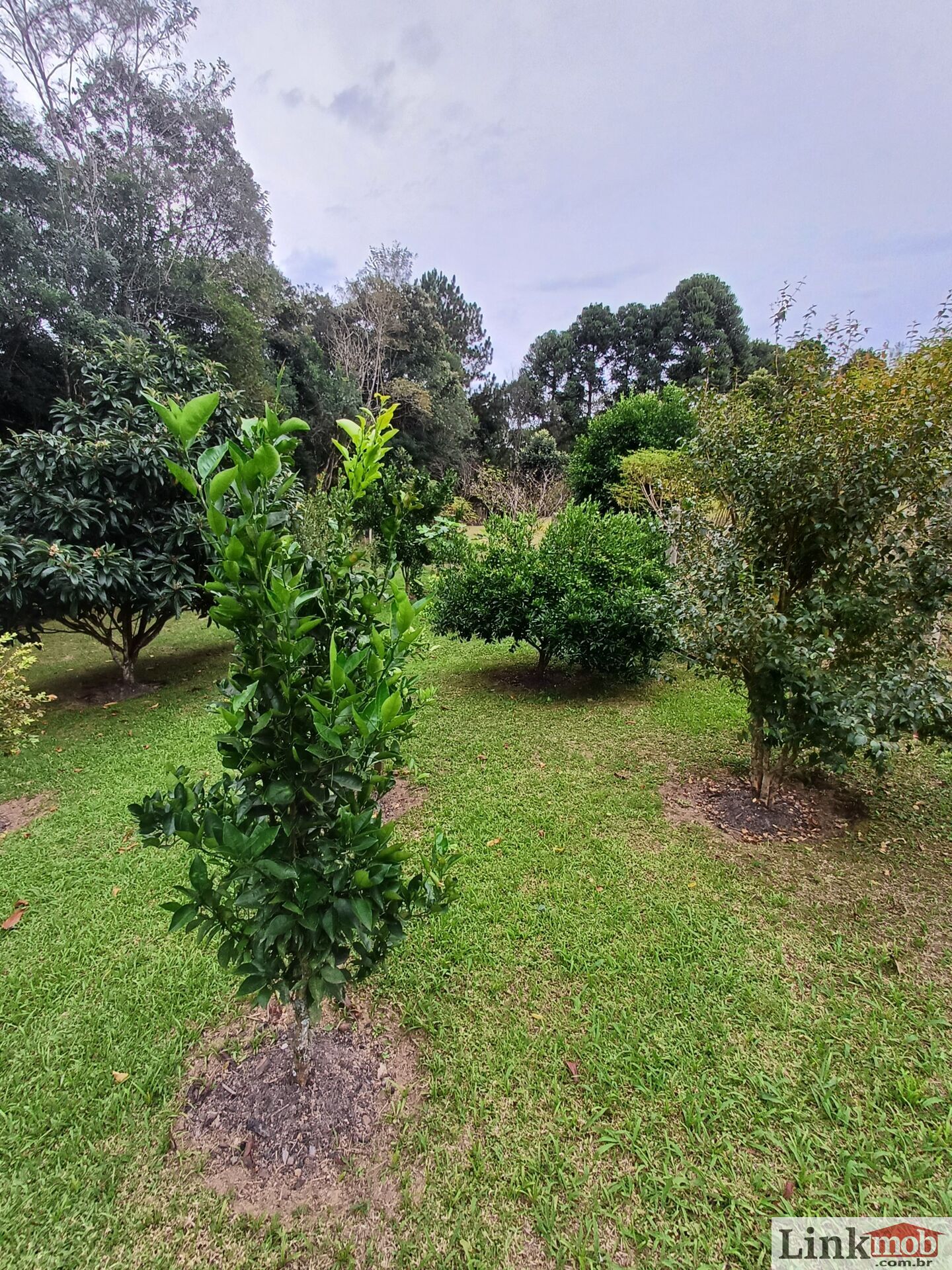 Fazenda à venda com 3 quartos, 3500m² - Foto 63