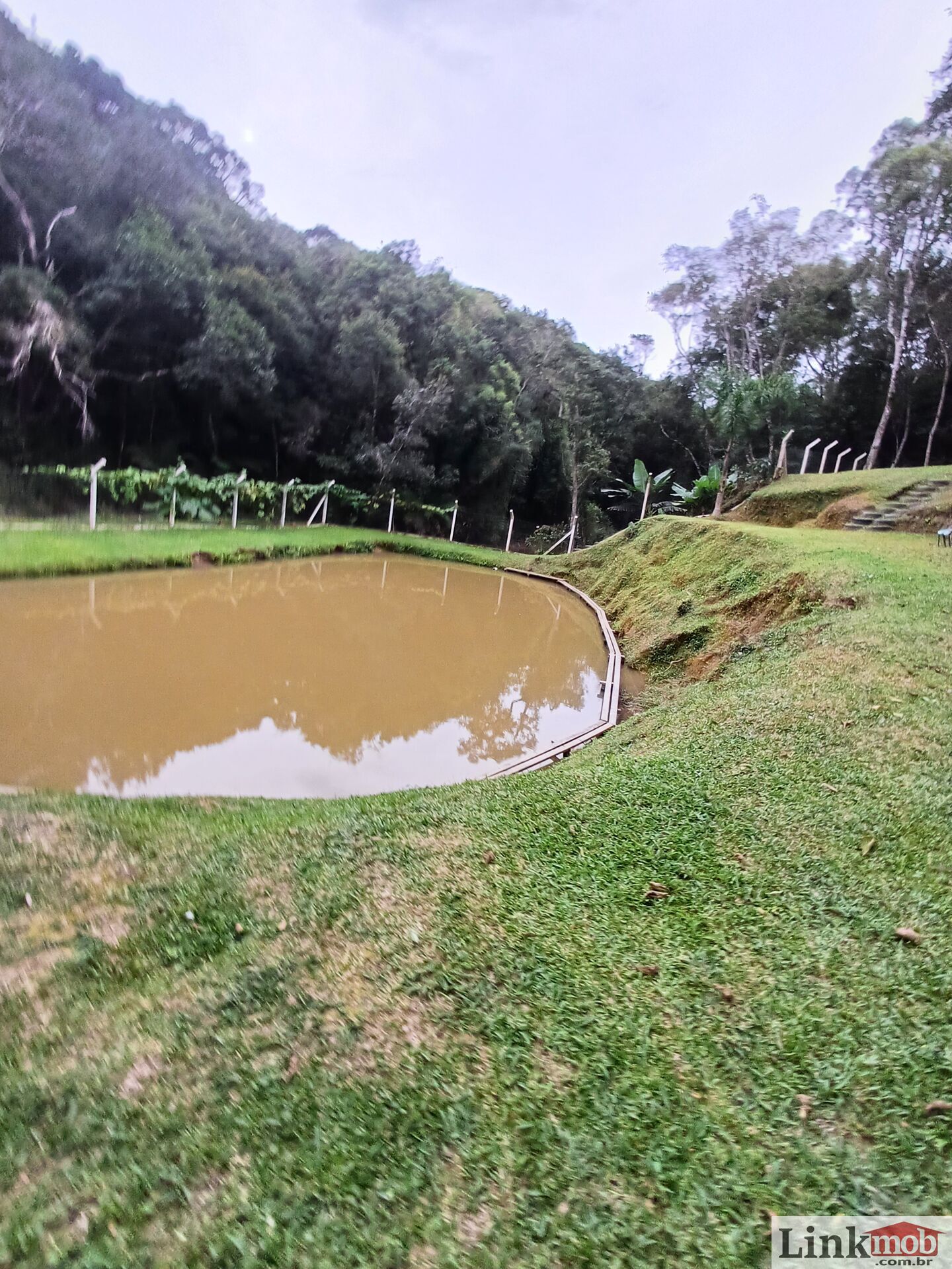 Fazenda à venda com 3 quartos, 3500m² - Foto 75