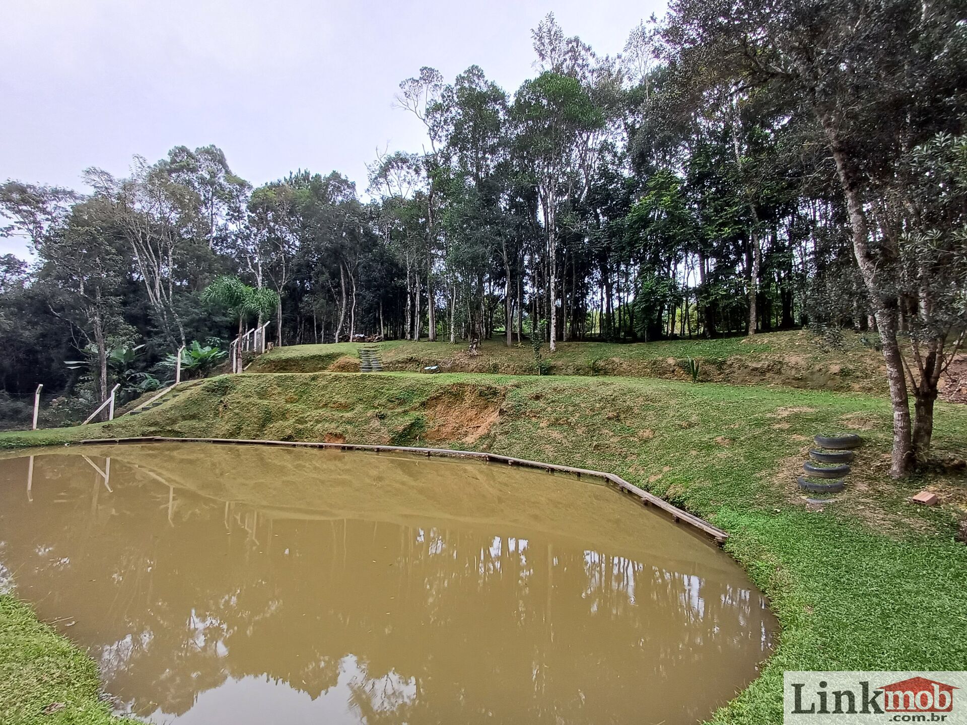 Fazenda à venda com 3 quartos, 3500m² - Foto 74