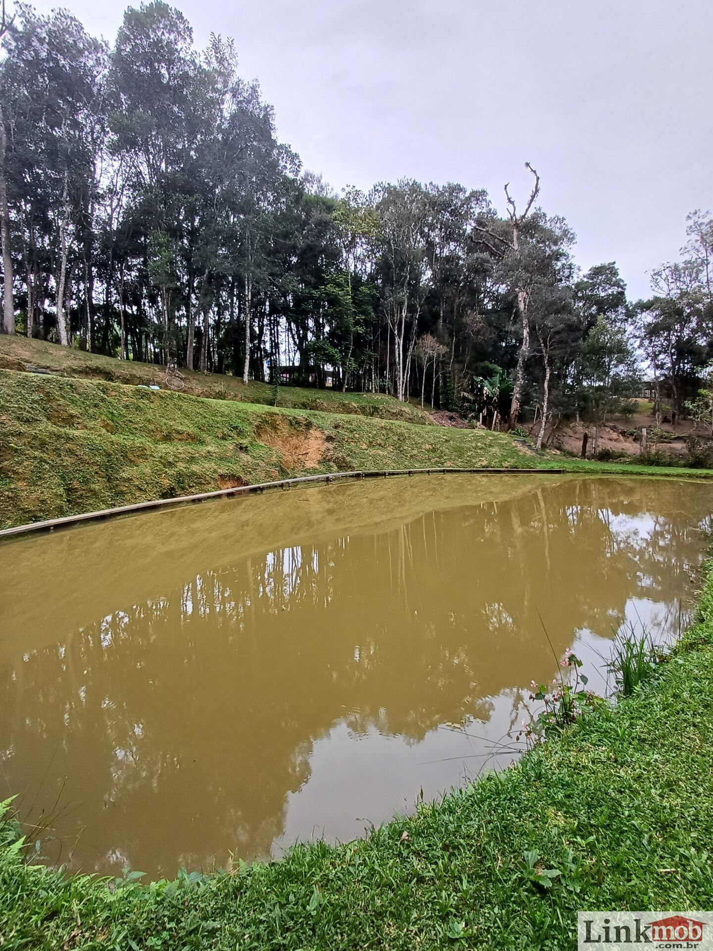 Fazenda à venda com 3 quartos, 3500m² - Foto 72