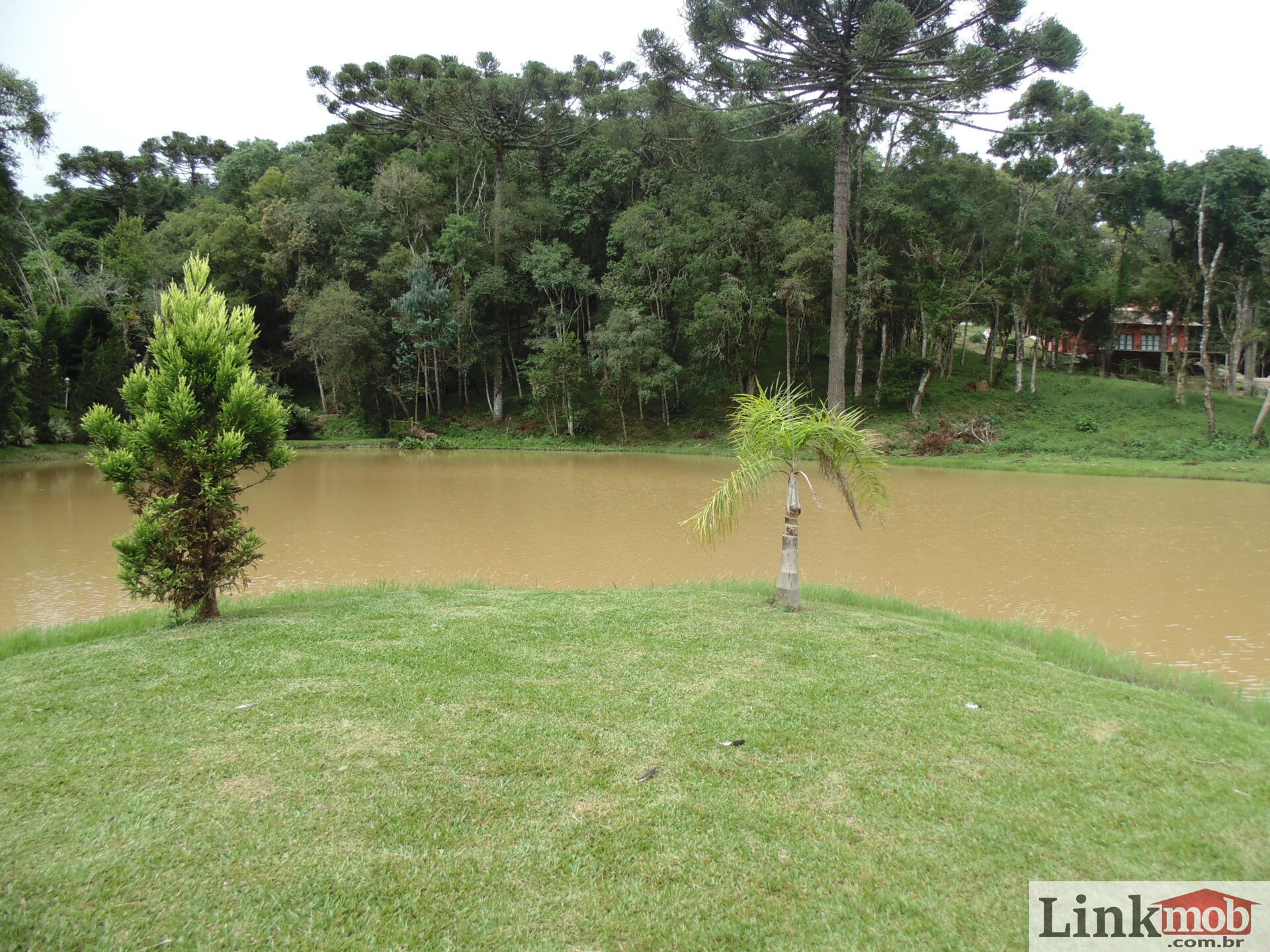 Fazenda à venda com 3 quartos, 3500m² - Foto 52