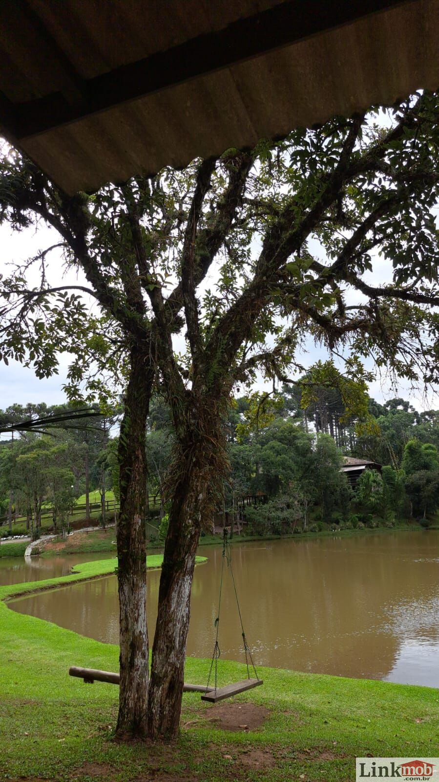 Fazenda à venda com 3 quartos, 3500m² - Foto 47