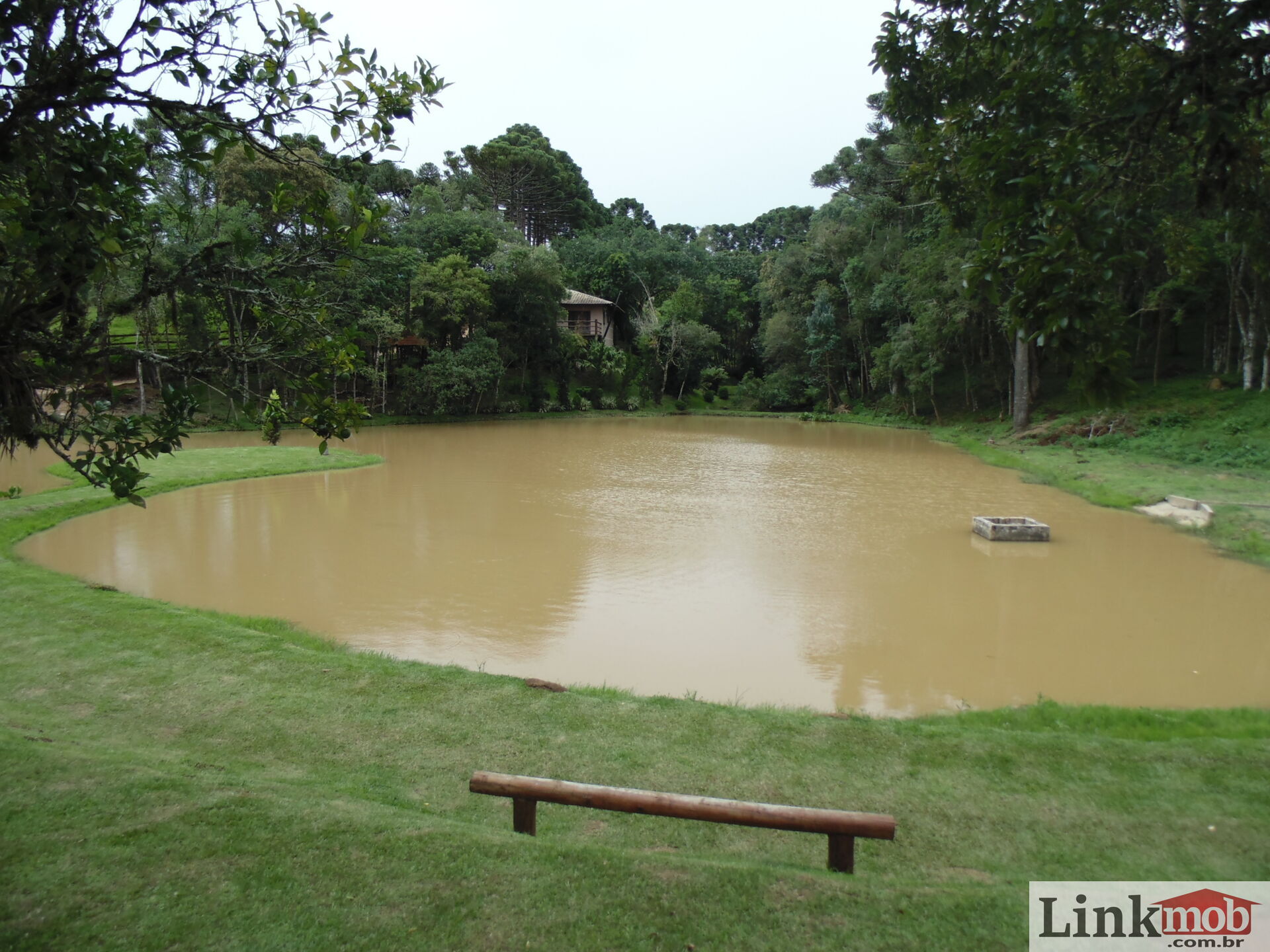 Fazenda à venda com 3 quartos, 3500m² - Foto 48