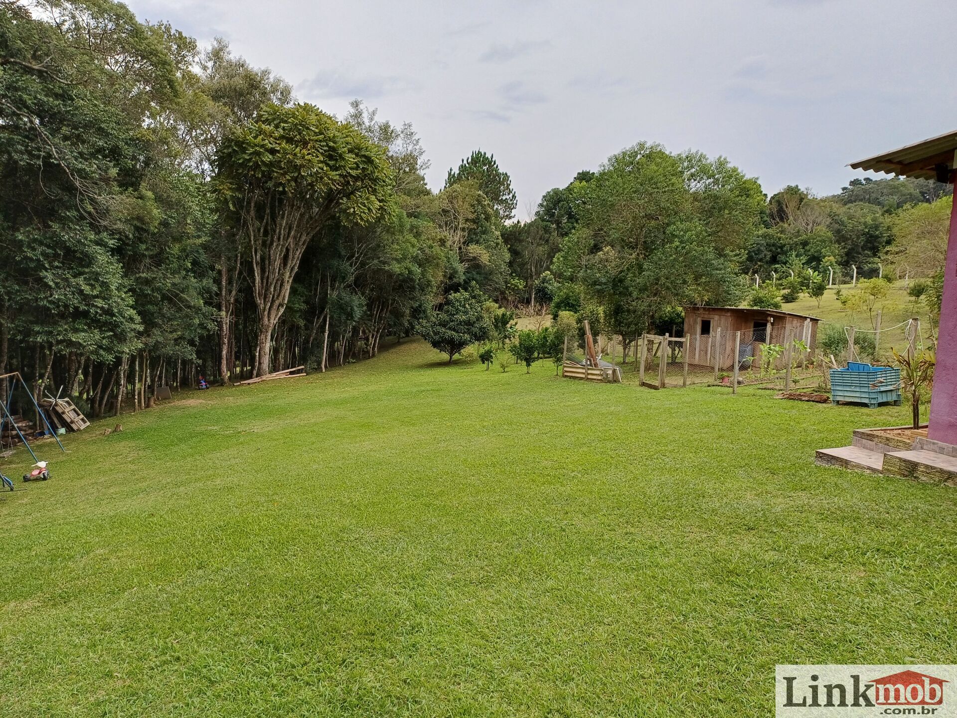 Fazenda à venda com 3 quartos, 3500m² - Foto 58