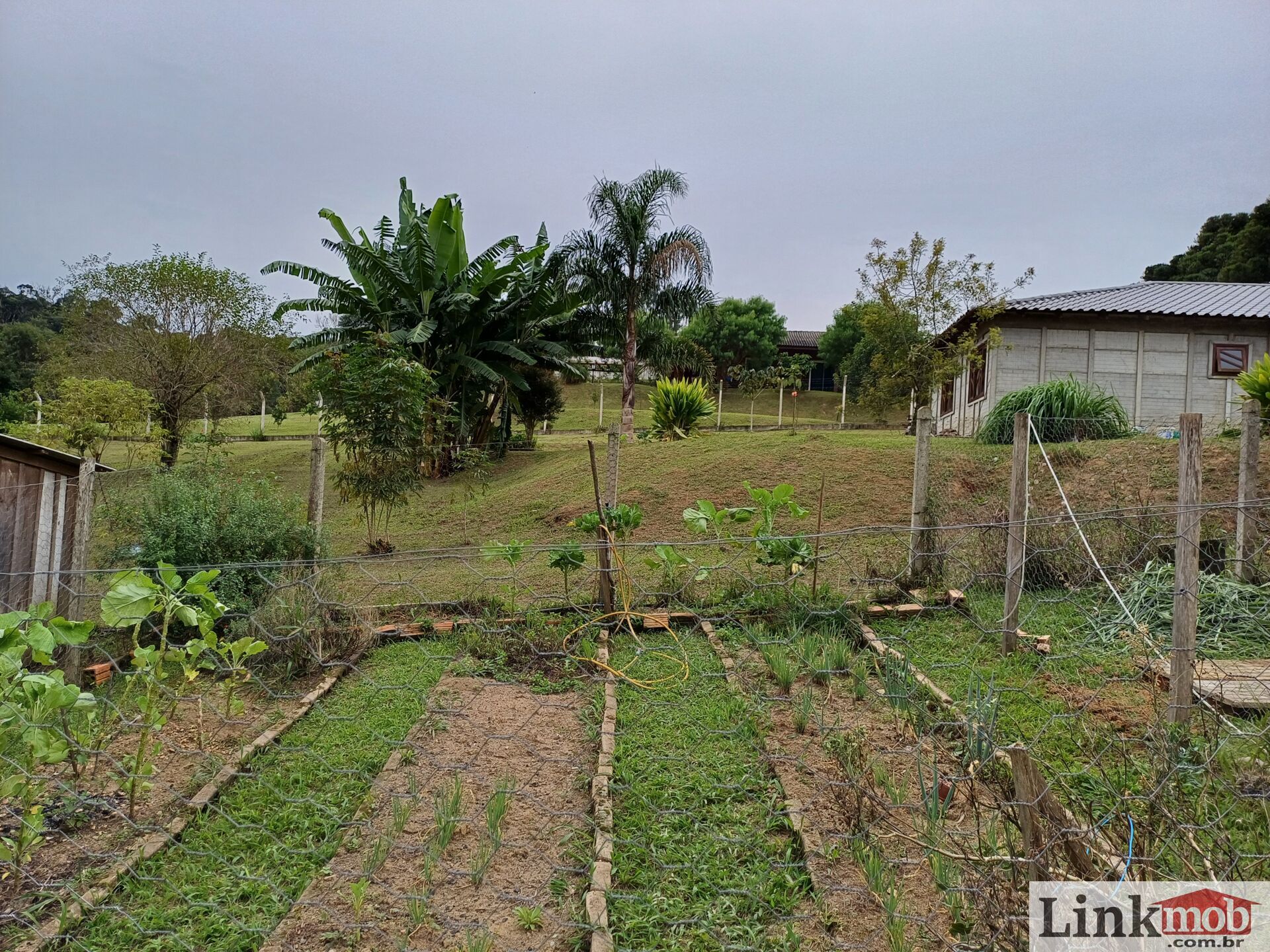 Fazenda à venda com 3 quartos, 3500m² - Foto 60