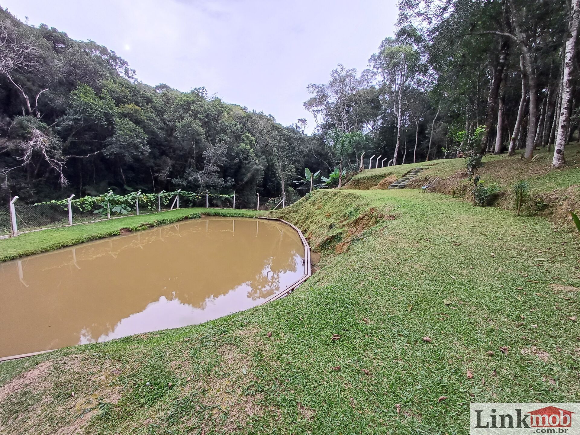 Fazenda à venda com 3 quartos, 3500m² - Foto 76