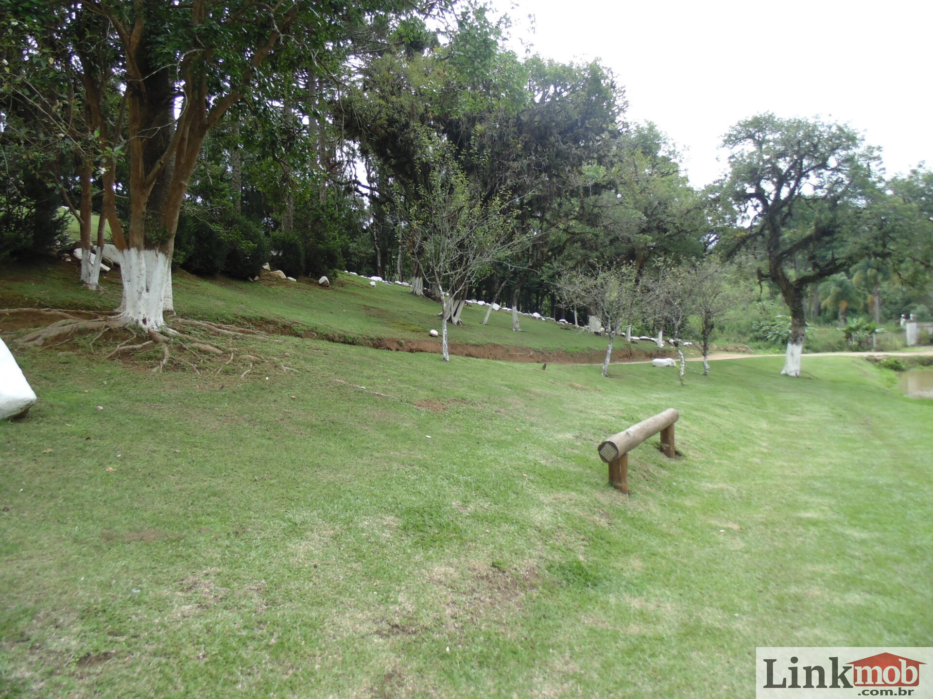 Fazenda à venda com 3 quartos, 3500m² - Foto 50