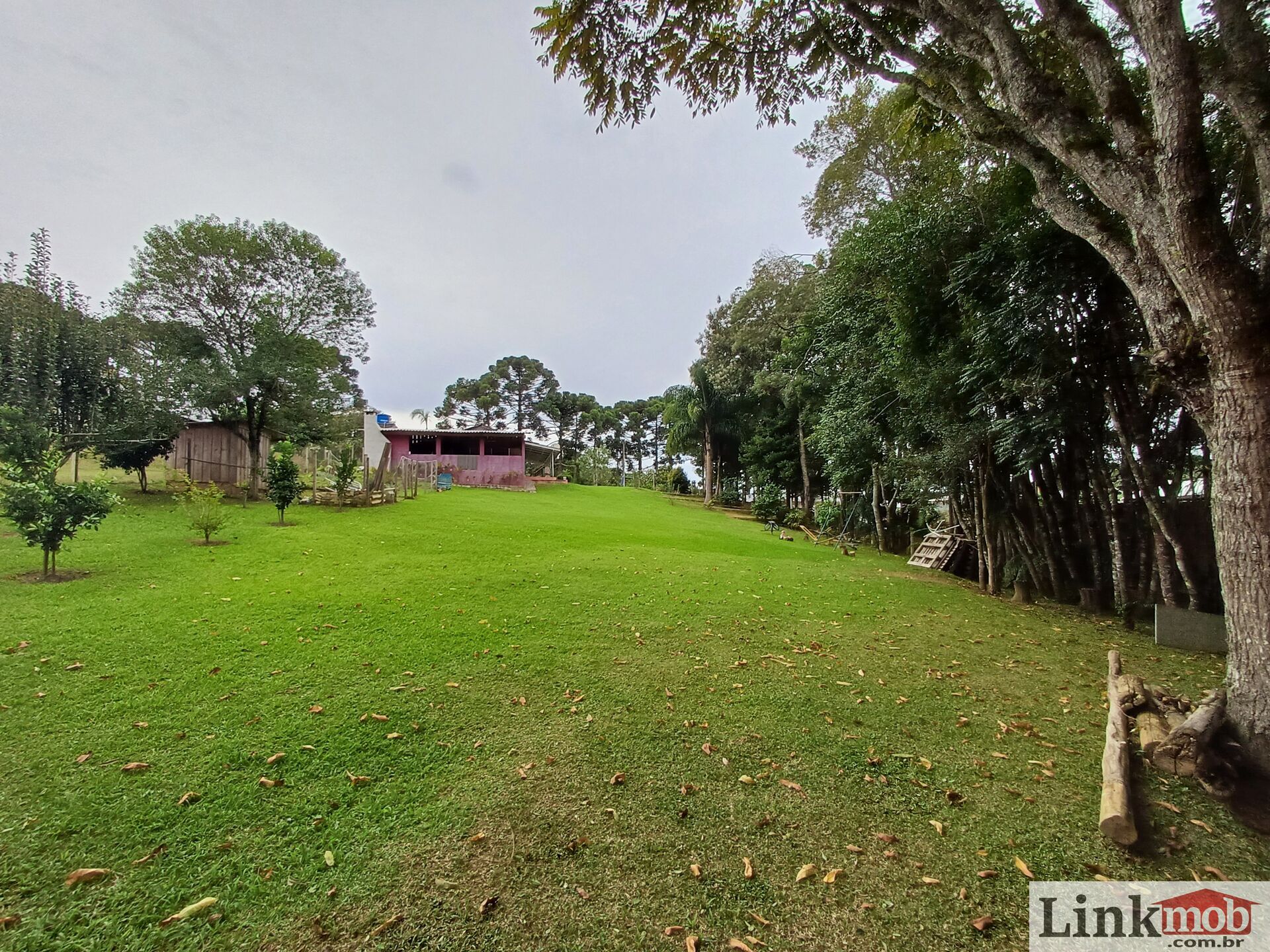 Fazenda à venda com 3 quartos, 3500m² - Foto 66