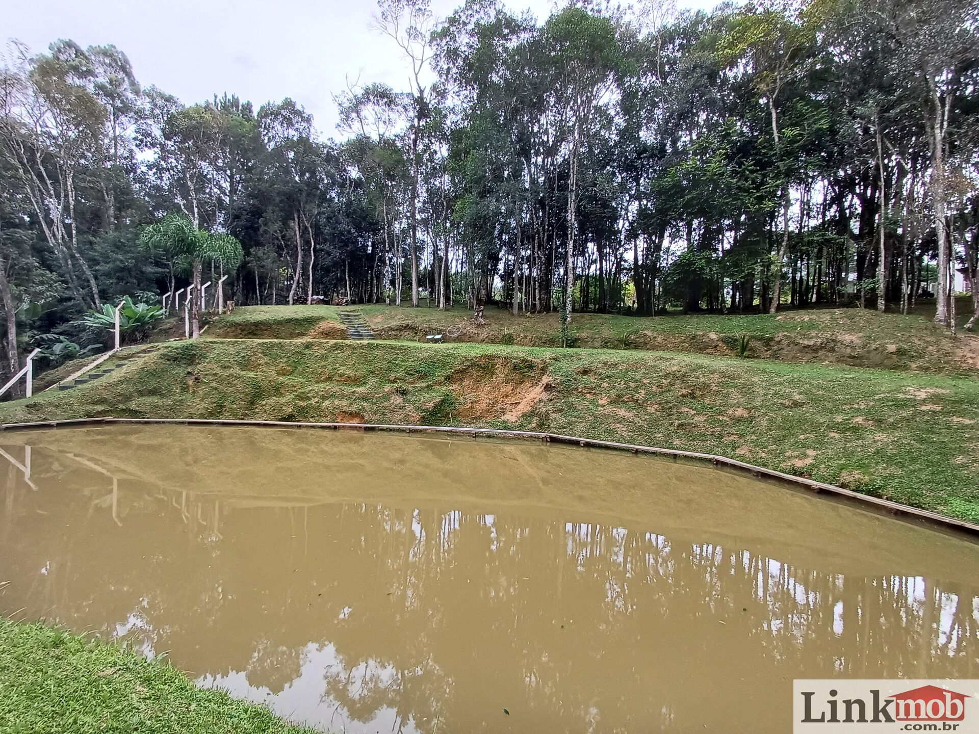 Fazenda à venda com 3 quartos, 3500m² - Foto 73