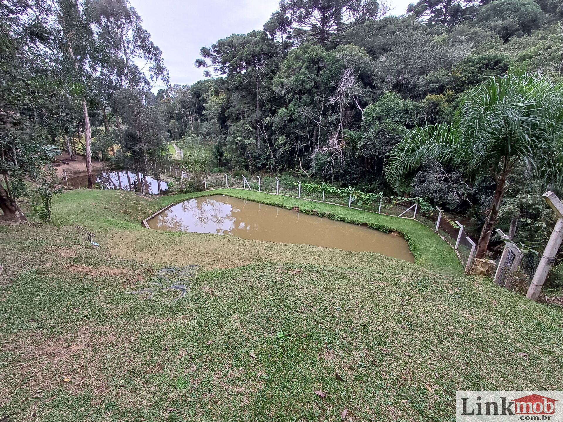 Fazenda à venda com 3 quartos, 3500m² - Foto 68