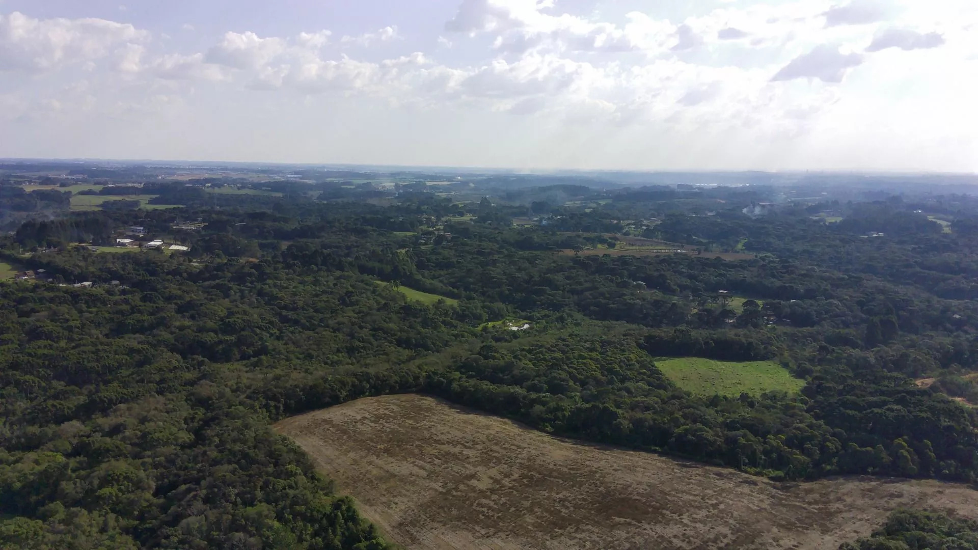 Fazenda à venda com 1 quarto, 4361m² - Foto 17