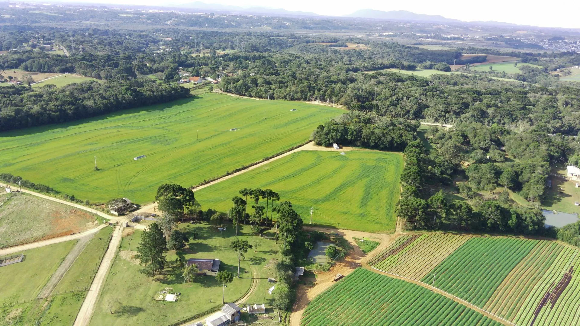 Fazenda à venda com 1 quarto, 4361m² - Foto 15