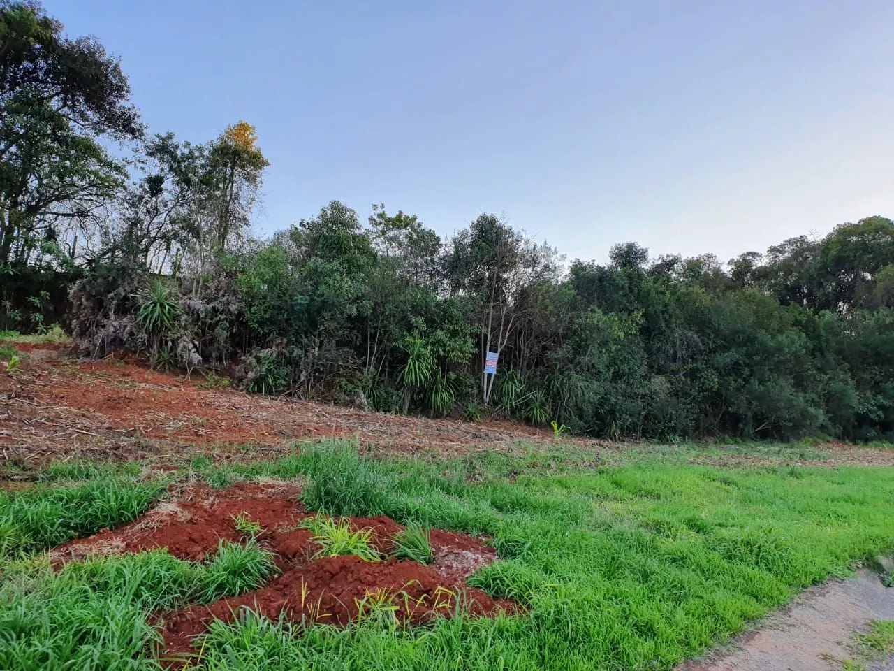 Terreno à venda, 32000m² - Foto 2