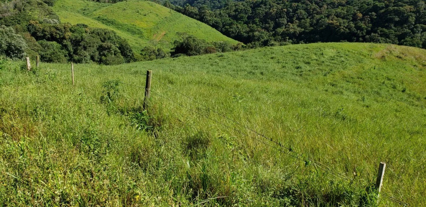 Terreno à venda - Foto 7