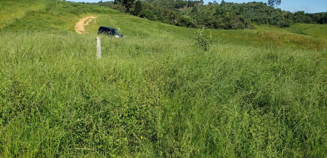 Terreno à venda - Foto 4