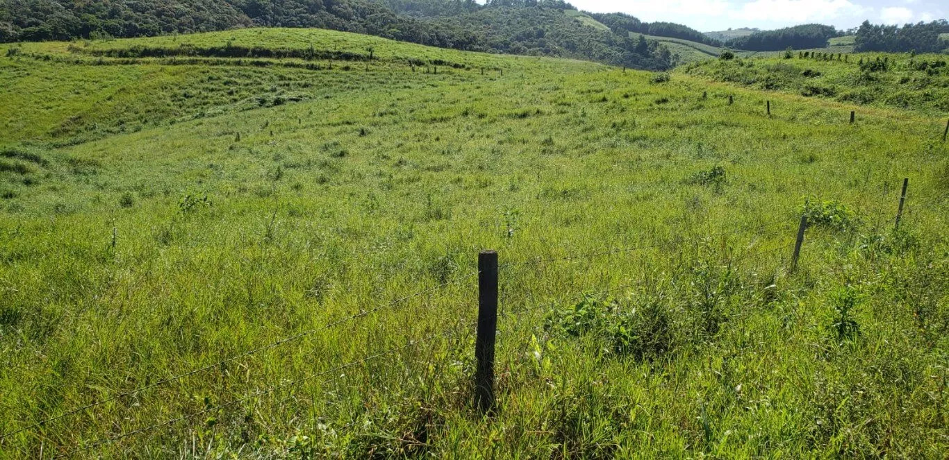 Terreno à venda - Foto 2