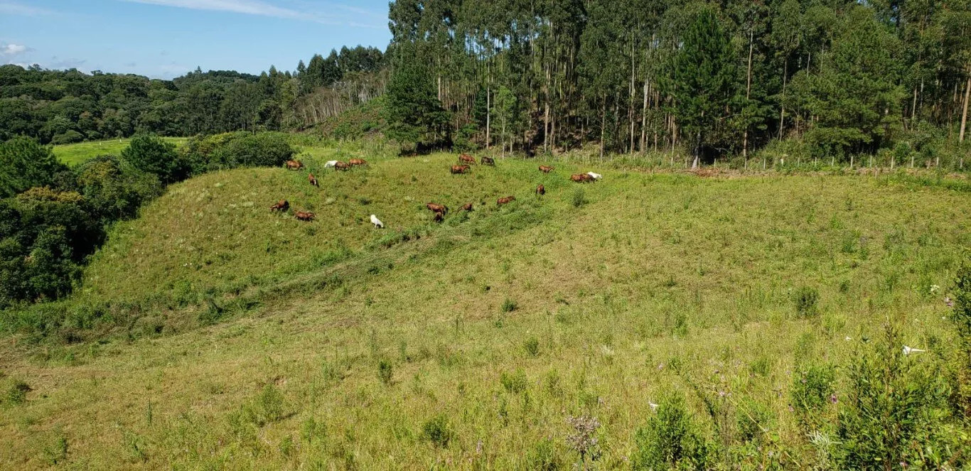 Terreno à venda - Foto 9