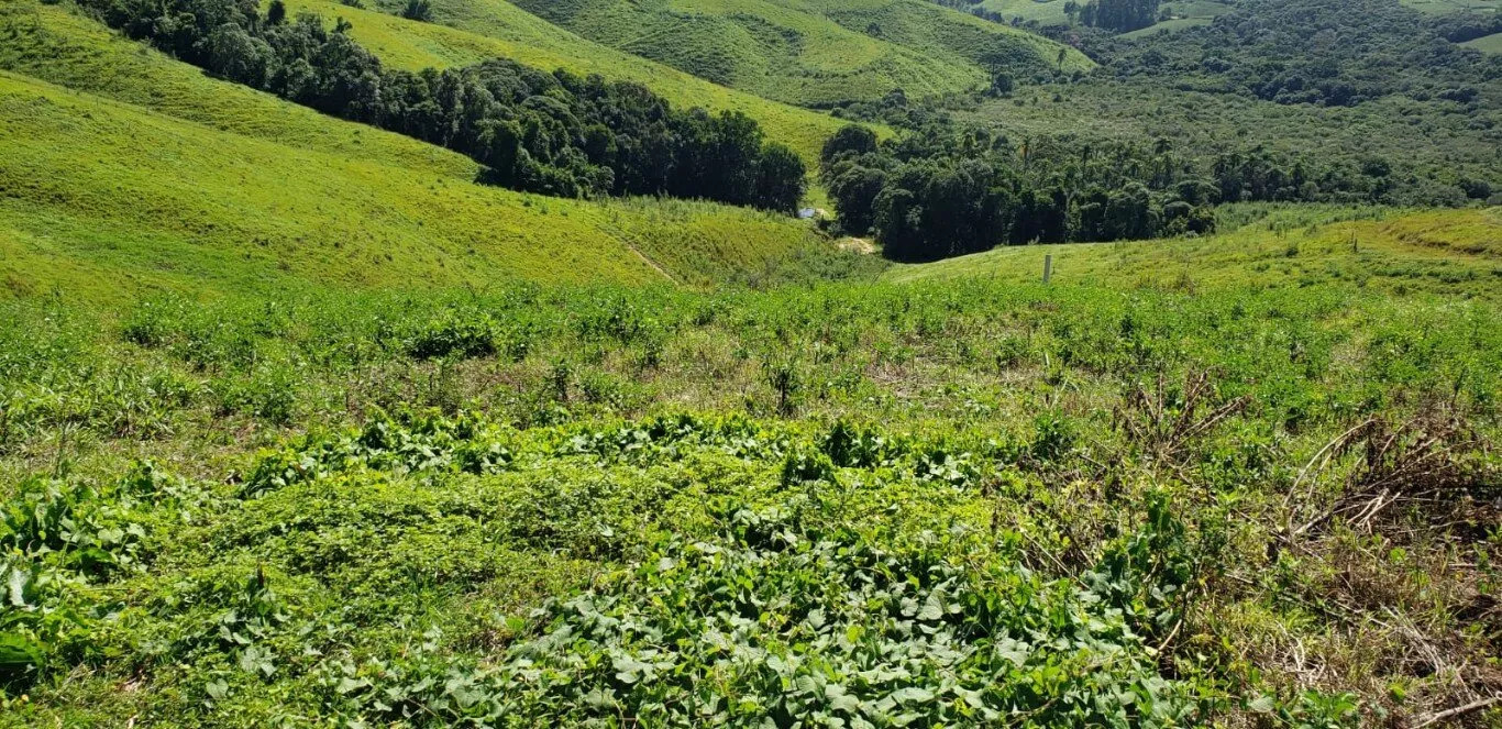 Terreno à venda - Foto 8