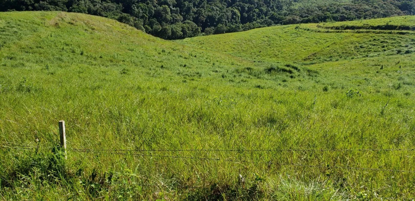 Terreno à venda - Foto 6