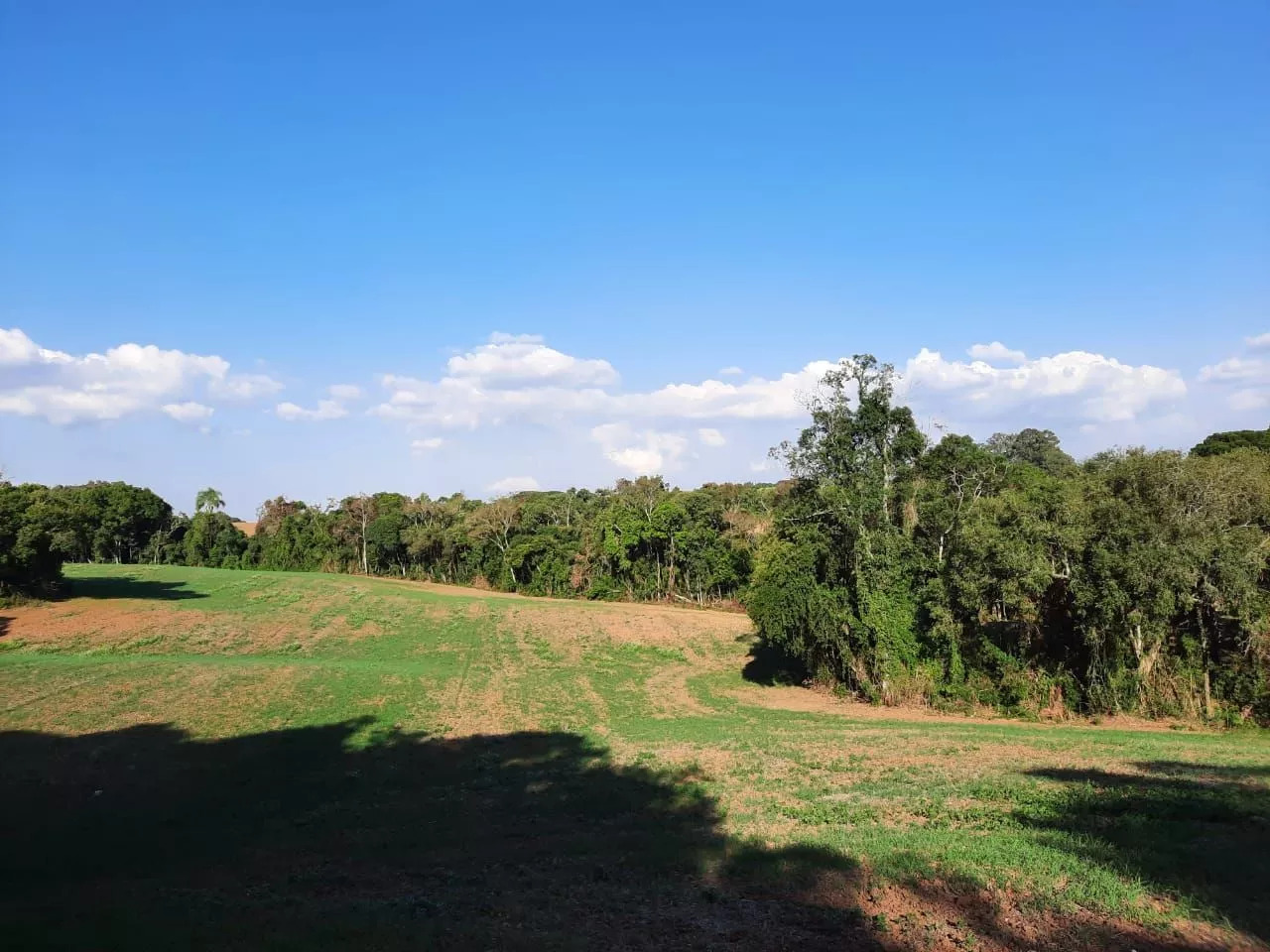 Fazenda à venda com 1 quarto, 127m² - Foto 20