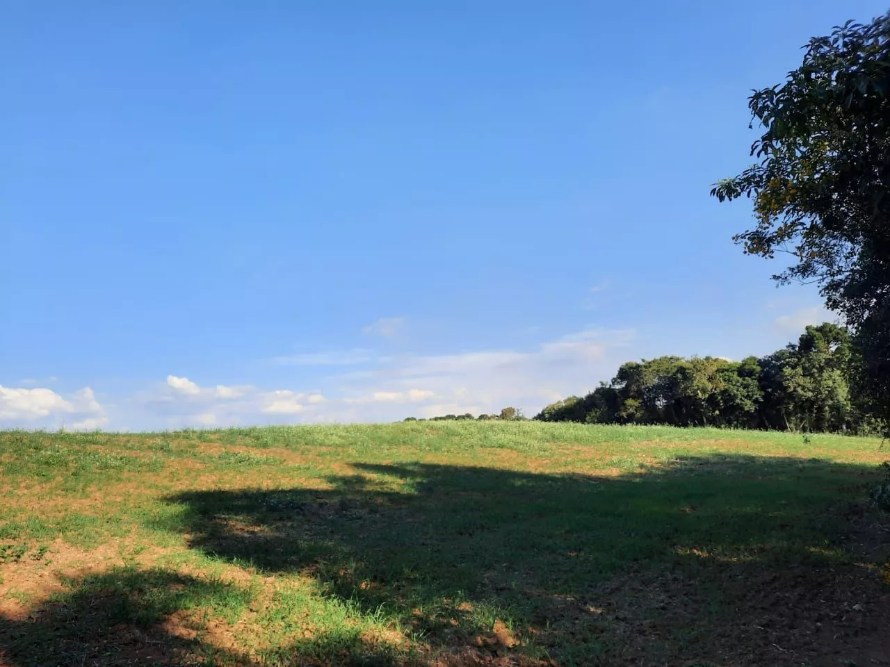 Fazenda à venda com 1 quarto, 127m² - Foto 27